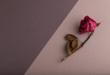 Perunkirjoitus Perunkirjoitus: kattava opas velvollisuuksiin ja käytäntöihin